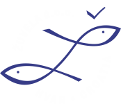 zuvela logo